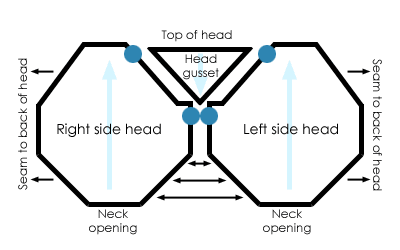 Schematic for the front of the bear's head